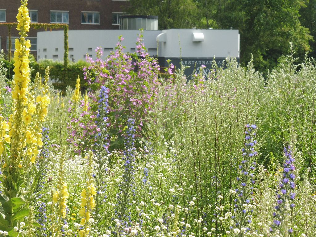 Beatrixpark - Bloemen en Restaurant As - Amsterdam