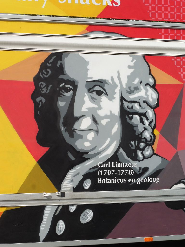 Snackbar S&C - Amsterdam