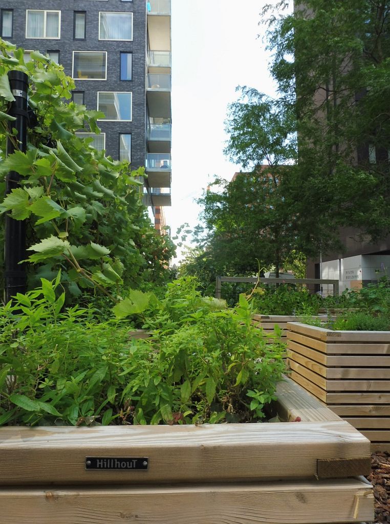 George Gershwinlaan - Restaurant Bolenius Moestuin - Amsterdam