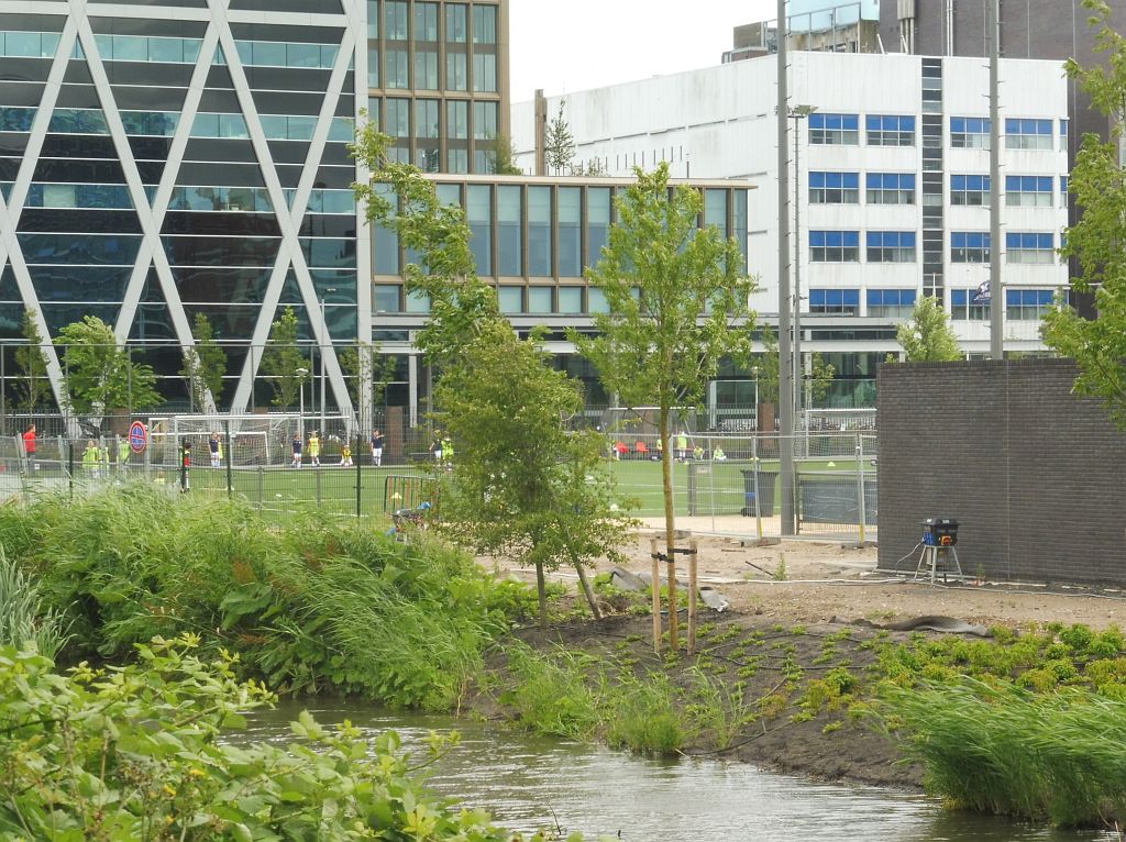 Sportpark Goed Genoeg - AFC - Amsterdam